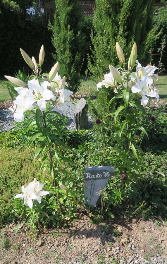 Le Clos Brayon Saint-Honore  المظهر الخارجي الصورة